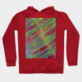 Natural Abstracts - Himalayan Cherry Tree Hoodie